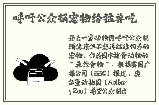 春雨官方旗舰店官网